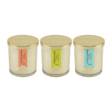 Load image into Gallery viewer, Essano - Build Your Own - Candle 3-Pack Bundle