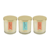 Load image into Gallery viewer, Essano - Build Your Own - Candle 3-Pack Bundle