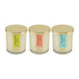 Load image into Gallery viewer, Essano - Build Your Own - Candle 3-Pack Bundle