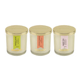 Load image into Gallery viewer, Essano - Build Your Own - Candle 3-Pack Bundle