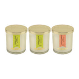 Load image into Gallery viewer, Essano - Build Your Own - Candle 3-Pack Bundle