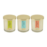 Load image into Gallery viewer, Essano - Build Your Own - Candle 3-Pack Bundle