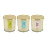 Load image into Gallery viewer, Essano - Build Your Own - Candle 3-Pack Bundle