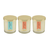 Load image into Gallery viewer, Essano - Build Your Own - Candle 3-Pack Bundle