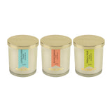 Load image into Gallery viewer, Essano - Build Your Own - Candle 3-Pack Bundle