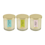 Load image into Gallery viewer, Essano - Build Your Own - Candle 3-Pack Bundle