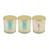 Load image into Gallery viewer, Essano - Build Your Own - Candle 3-Pack Bundle