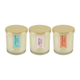 Load image into Gallery viewer, Essano - Build Your Own - Candle 3-Pack Bundle