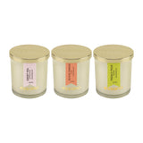 Load image into Gallery viewer, Essano - Build Your Own - Candle 3-Pack Bundle