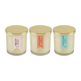 Load image into Gallery viewer, Essano - Build Your Own - Candle 3-Pack Bundle