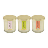 Load image into Gallery viewer, Essano - Build Your Own - Candle 3-Pack Bundle