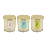 Load image into Gallery viewer, Essano - Build Your Own - Candle 3-Pack Bundle