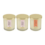 Load image into Gallery viewer, Essano - Build Your Own - Candle 3-Pack Bundle