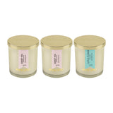 Load image into Gallery viewer, Essano - Build Your Own - Candle 3-Pack Bundle